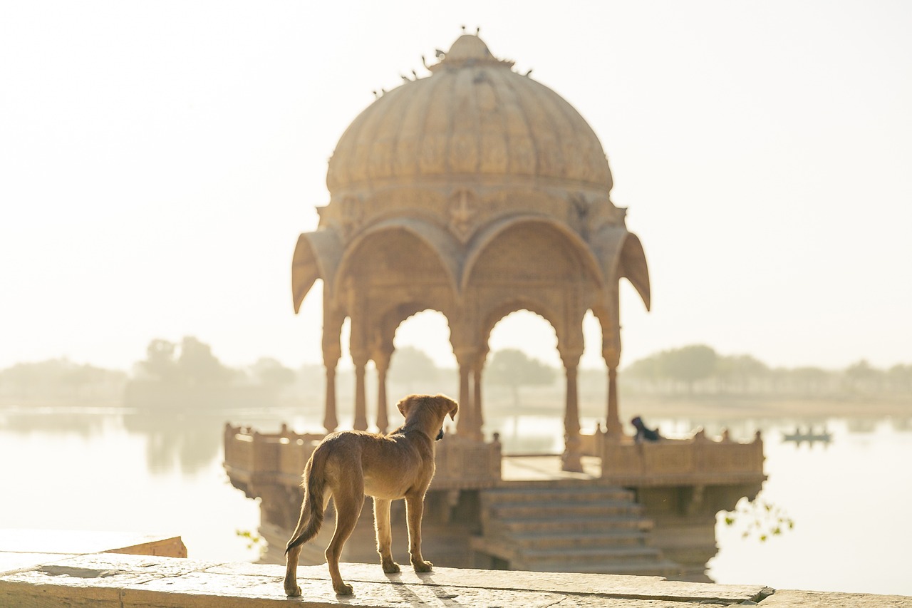 Exploring the Connection Between Heritage and Sustainable Development